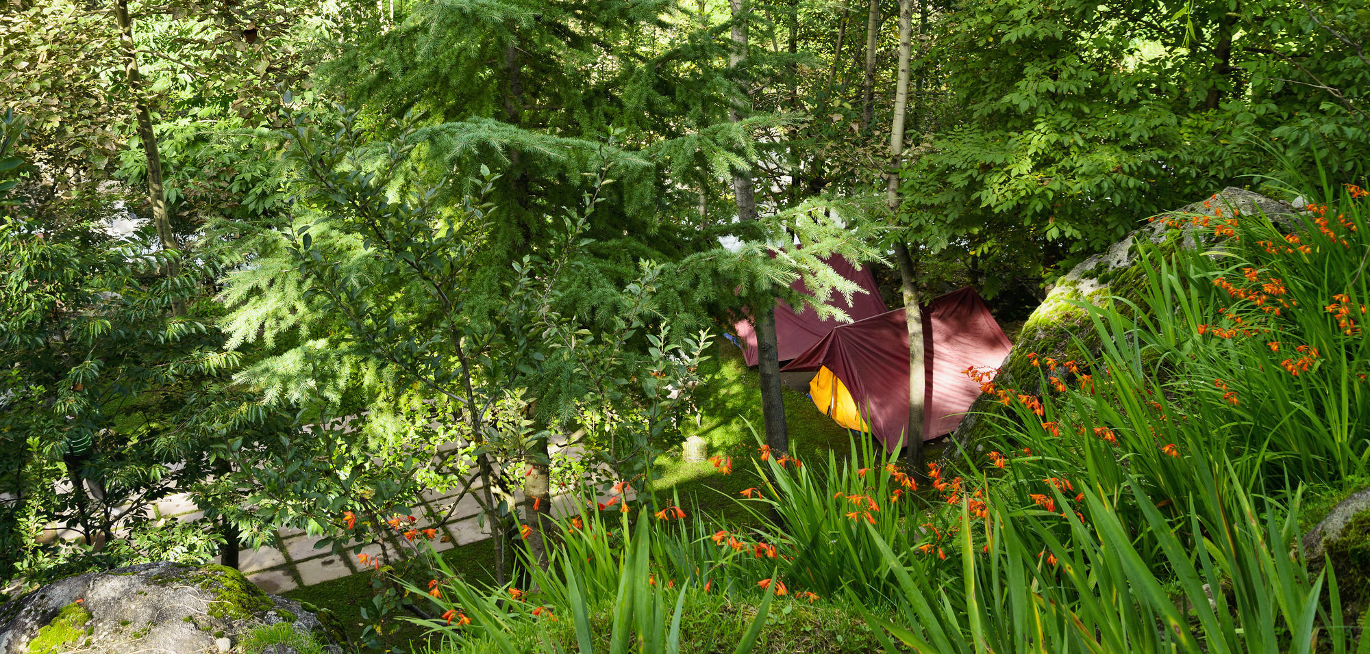 Solang Valley Resort Palchan Exterior photo