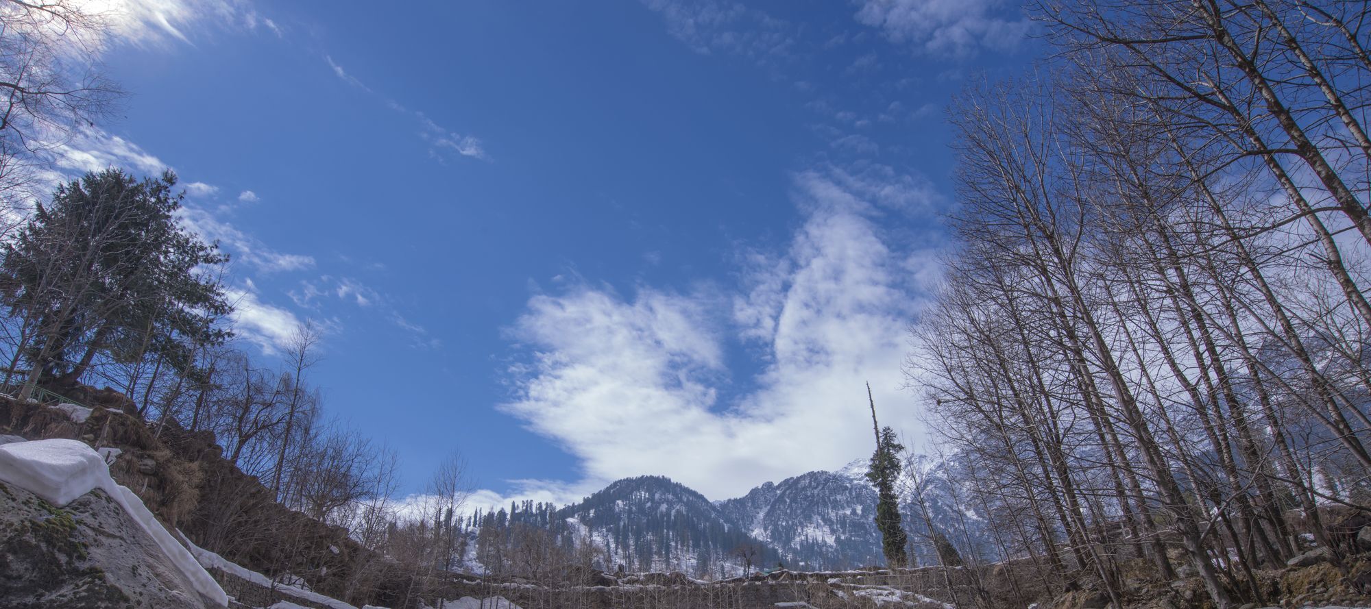 Solang Valley Resort Palchan Exterior photo