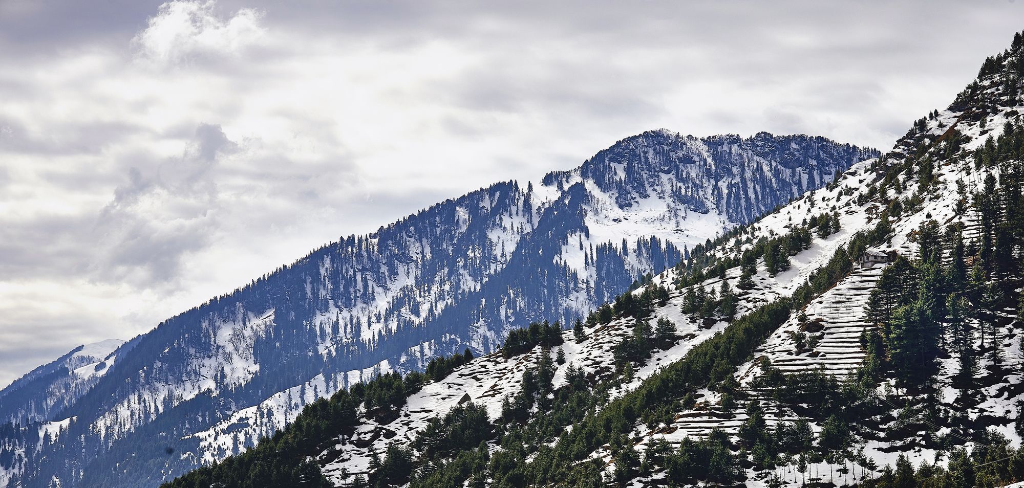Solang Valley Resort Palchan Exterior photo