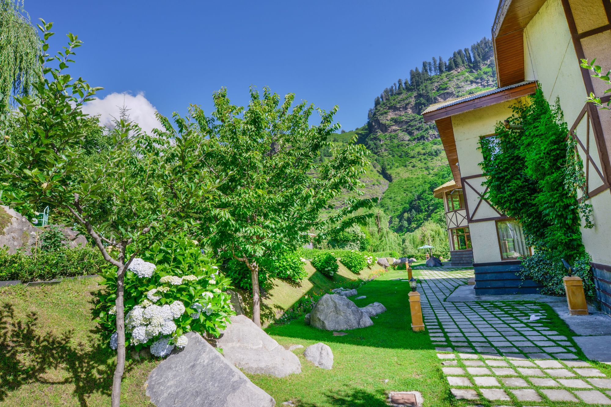 Solang Valley Resort Palchan Exterior photo