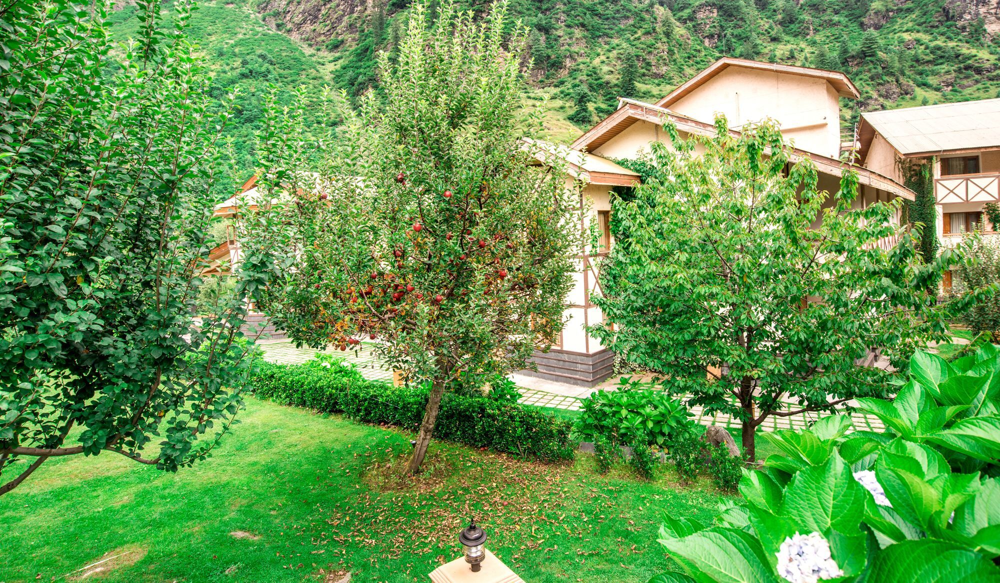 Solang Valley Resort Palchan Exterior photo