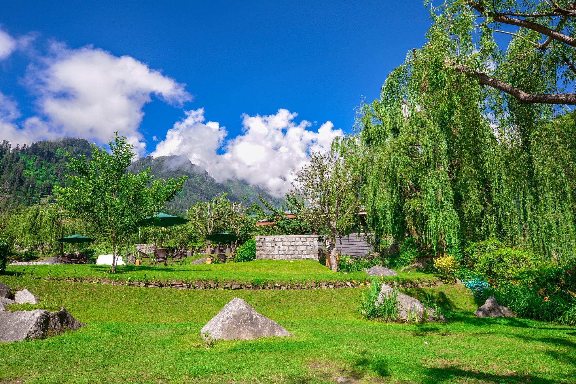 Solang Valley Resort Palchan Exterior photo